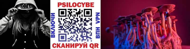 Купить  Новая Ладога  Псилоцибиновые грибы GOLDEN TEACHER 
